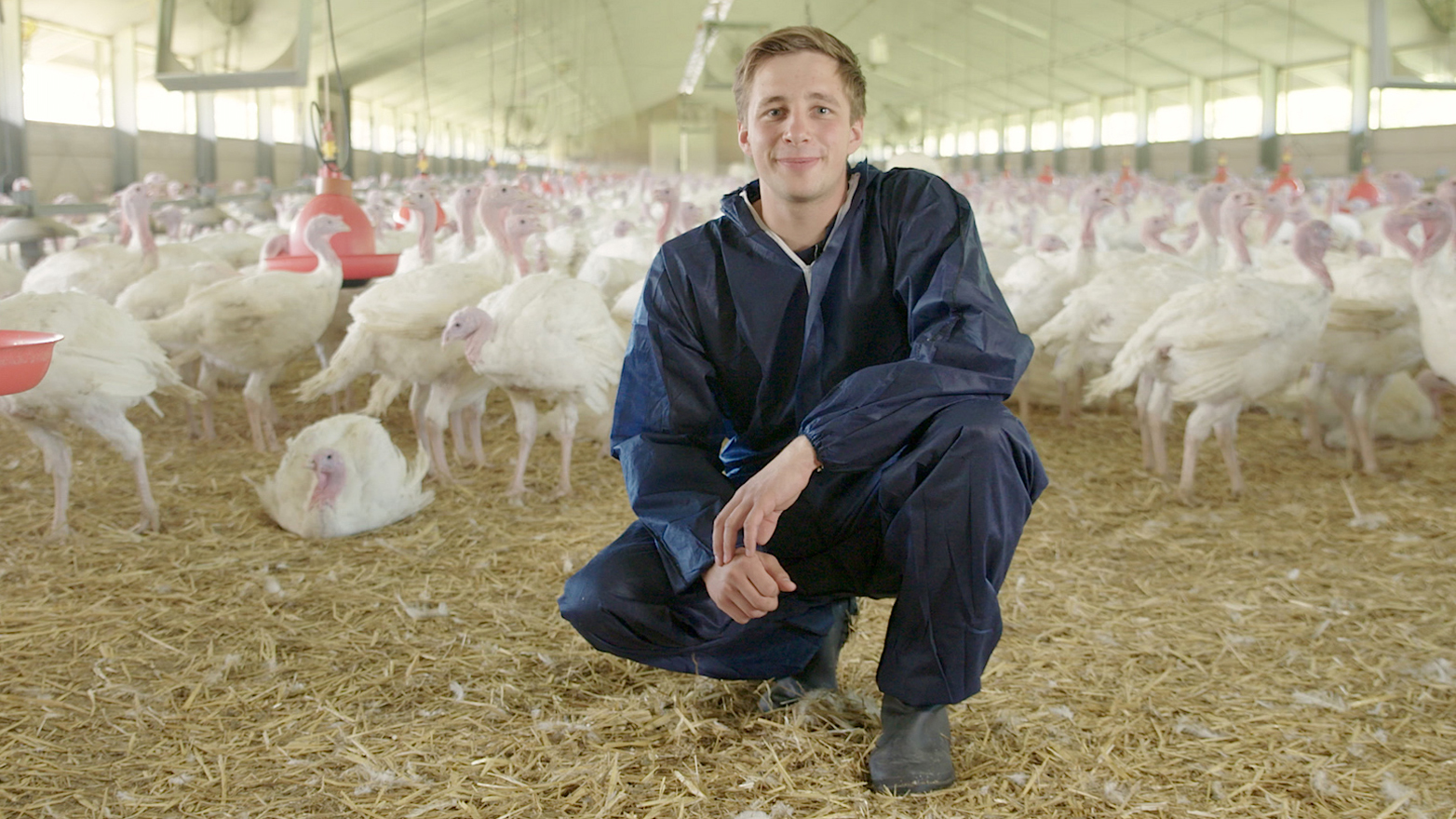 Putenhalters Hubert-Markus Brauweiler hockt in seinem blauen Schutzanzug in einem Stall. Im Hintergrund sind stehende und sitzende Puten und rote Tränken, die von der Decke hängen zu sehen.