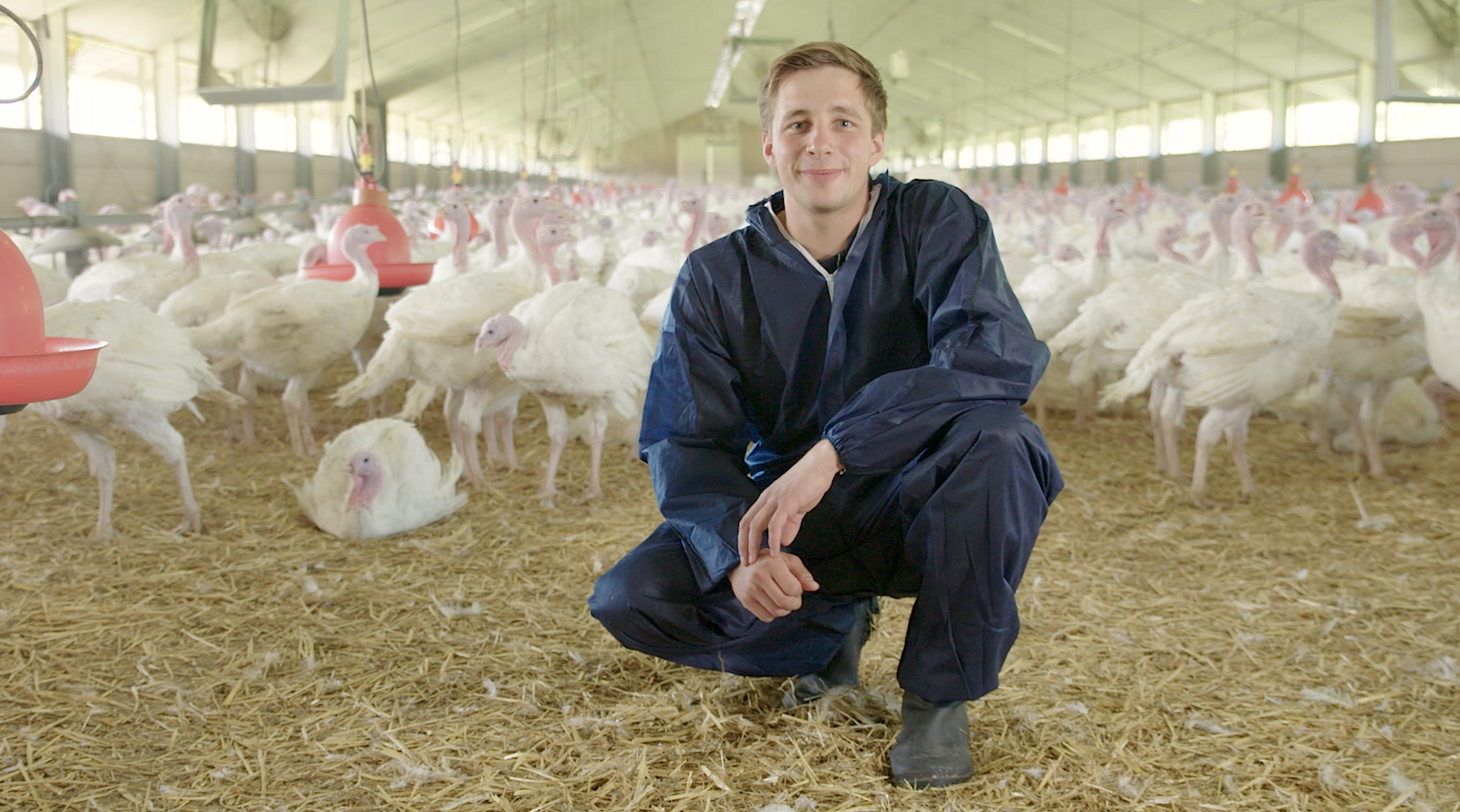 Putenhalters Hubert-Markus Brauweiler hockt in seinem blauen Schutzanzug in einem Stall. Der Boden ist mit Einstreu bedeckt Im Hintergrund sind stehende und sitzende Puten und rote Tränken, die von der Decke hängen zu sehen.