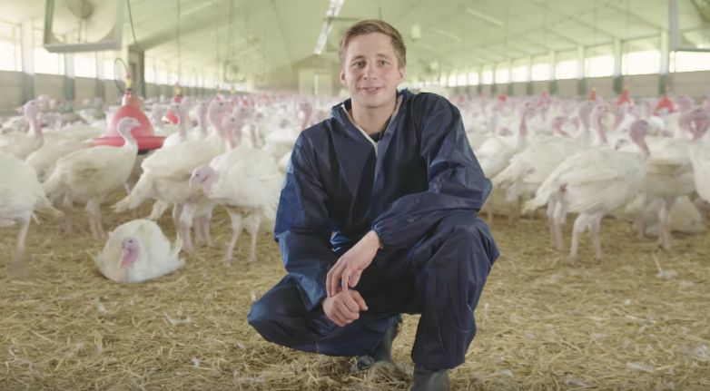 Putenhalters Hubert-Markus Brauweiler hockt in seinem blauen Schutzanzug in einem Stall. Im Hintergrund sind stehende und sitzende Puten und rote Tränken, die von der Decke hängen zu sehen.